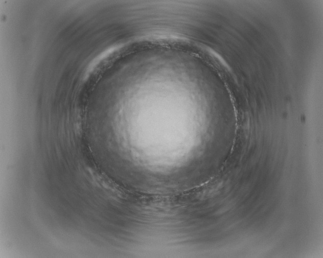 X0000081341016200701251853