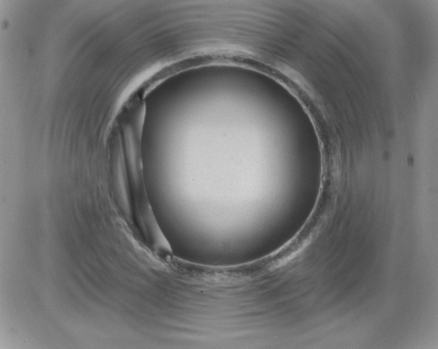 X0000081341022200701251853