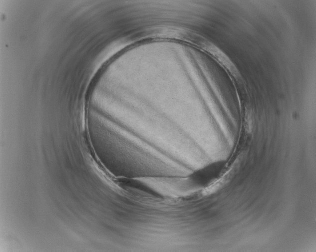 X0000081341036200701251854
