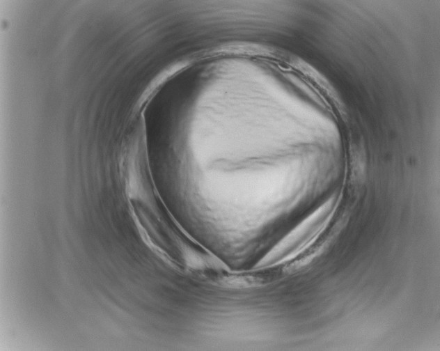 X0000081341049200701251854