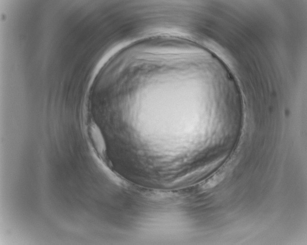 X0000081341056200701251854