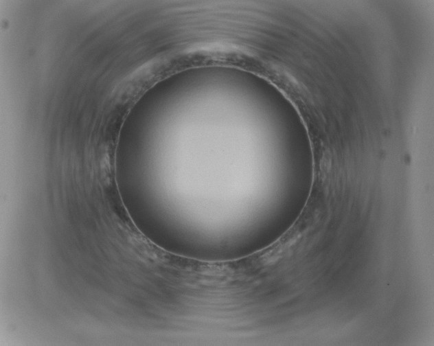 X0000081341062200701251853