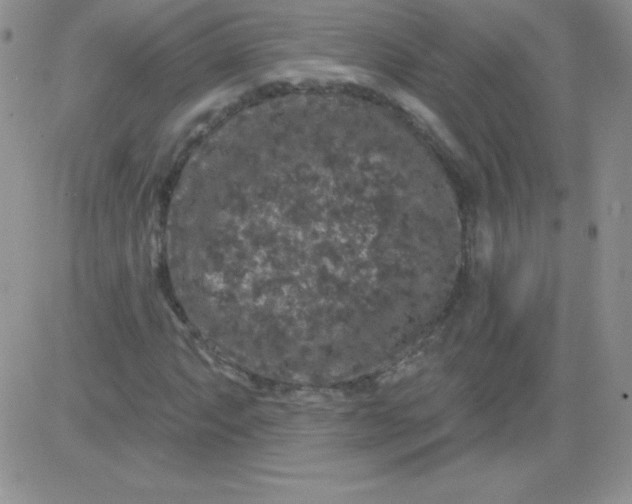 X0000081341063200701251853