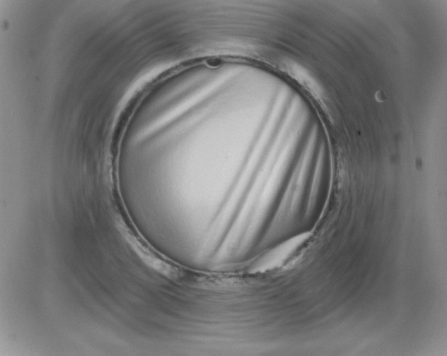 X0000081341072200701251853