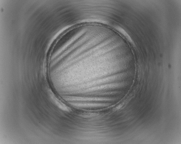 X0000081341076200701251853