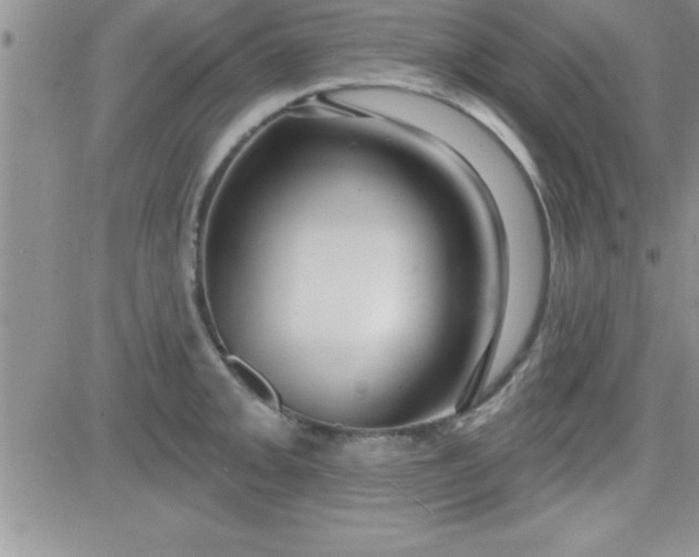 X0000081341093200701251853