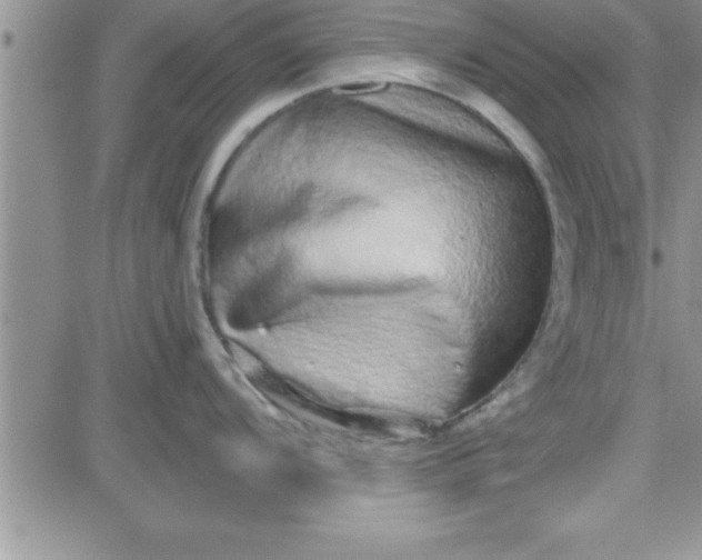 X0000081341104200701251852