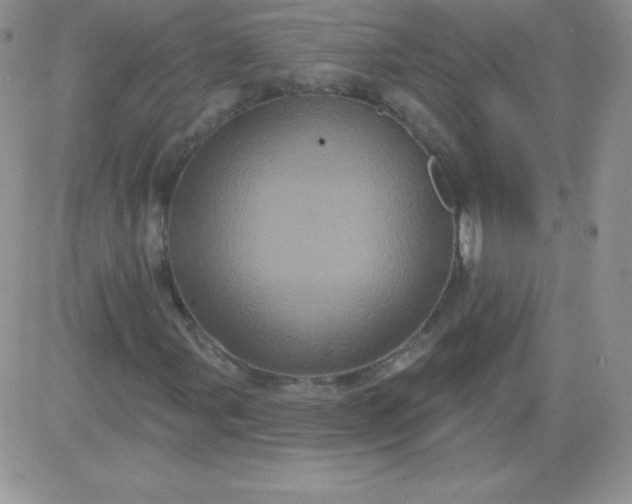 X0000081341107200701251852