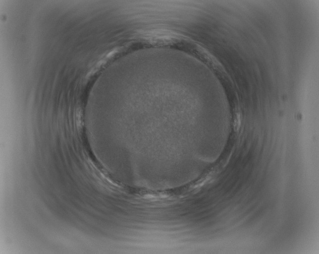 X0000081341108200701251852