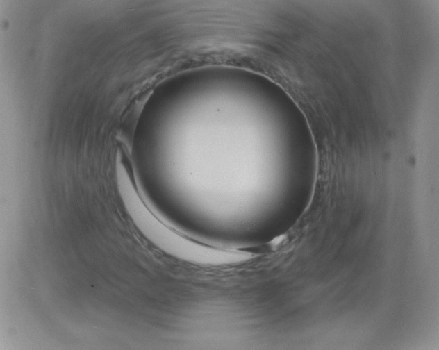 X0000081341109200701251852