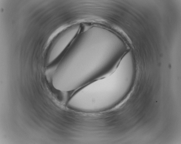 X0000081341114200701251852