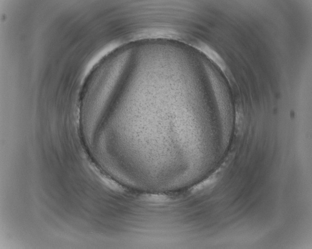 X0000081341119200701251852