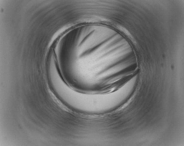 X0000081341122200701251852