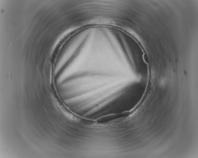 X0000081341123200701251852