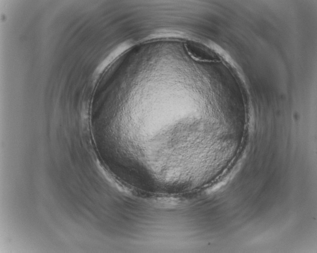 X0000081341137200701251852