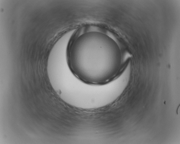 X0000081341157200701251852