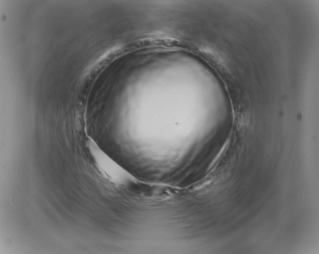 X0000081341159200701251851