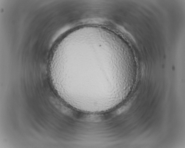 X0000081341166200701251851