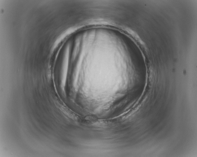 X0000081341167200701251851