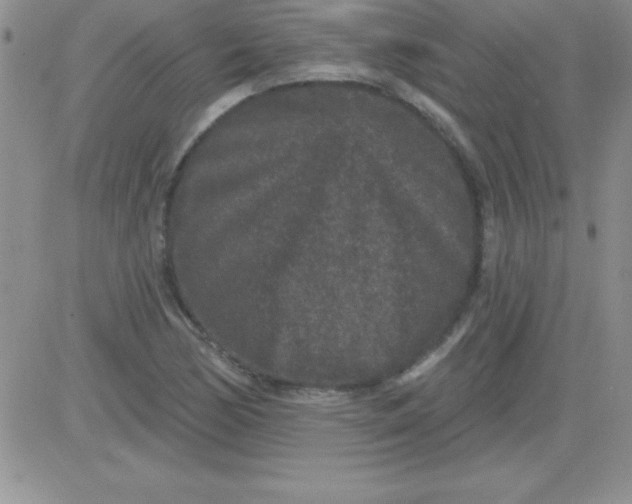 X0000081341170200701251851
