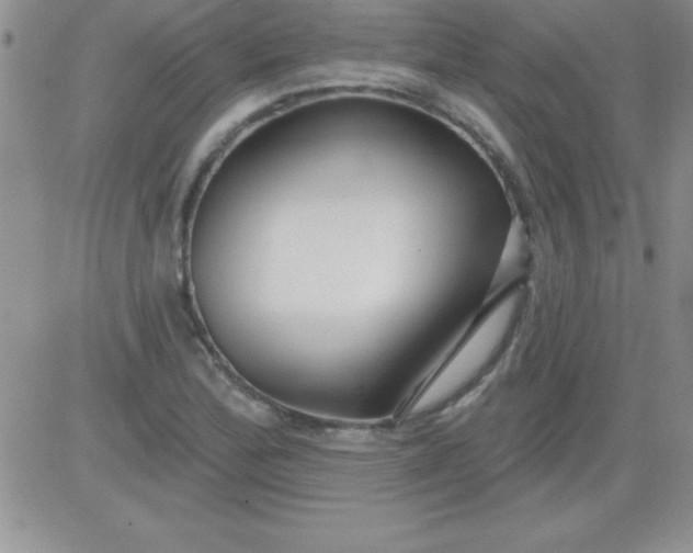 X0000081341172200701251851