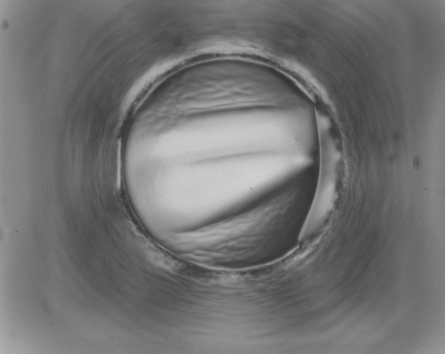 X0000081341175200701251851