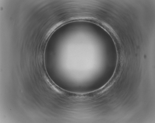 X0000081341177200701251851