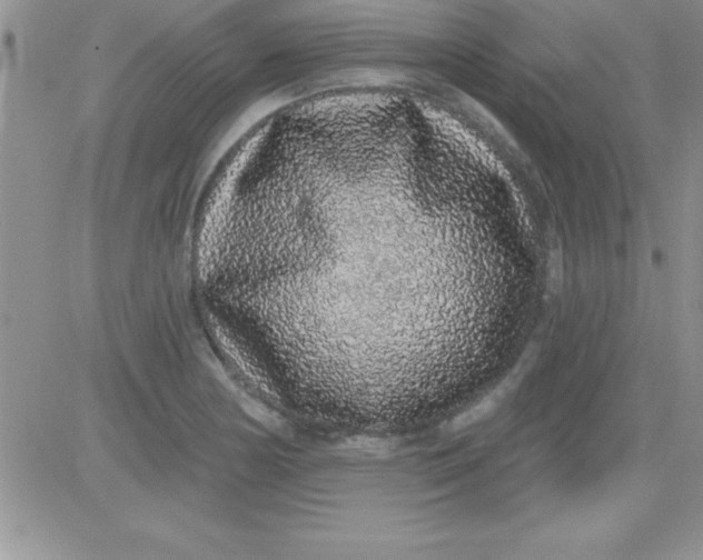 X0000081341178200701251851