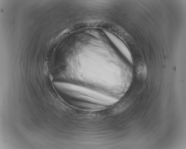 X0000081341204200701251850