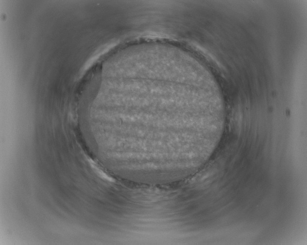X0000081341207200701251850
