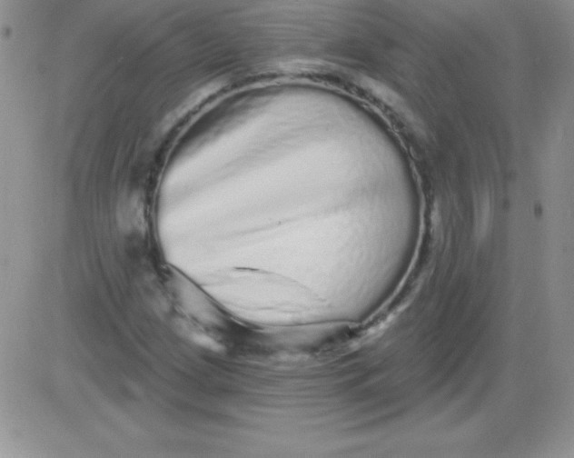 X0000081341209200701251850