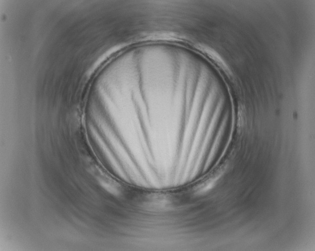 X0000081341212200701251850