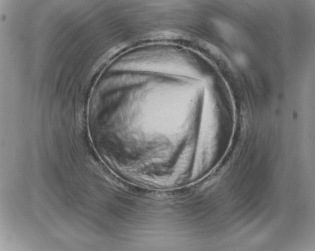 X0000081341217200701251850