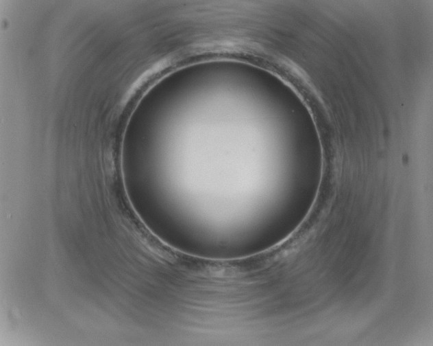 X0000081341218200701251850