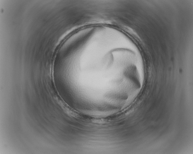 X0000081341220200701251850