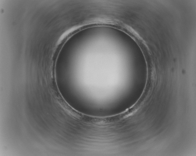 X0000081341222200701251850