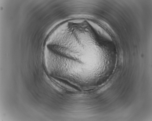 X0000081341228200701251850