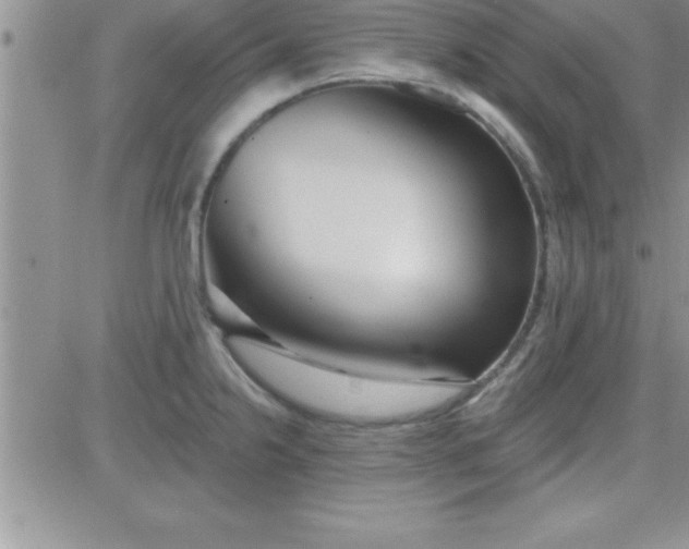 X0000081341238200701251851