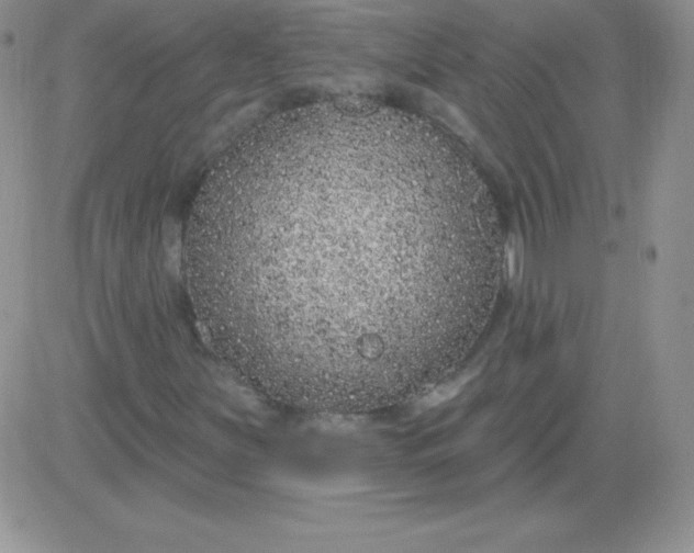 X0000081341251200701251850
