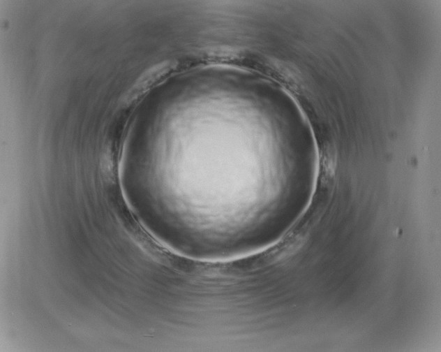 X0000081341252200701251850