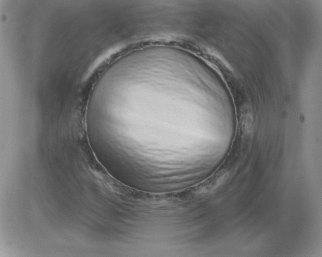 X0000081341256200701251850