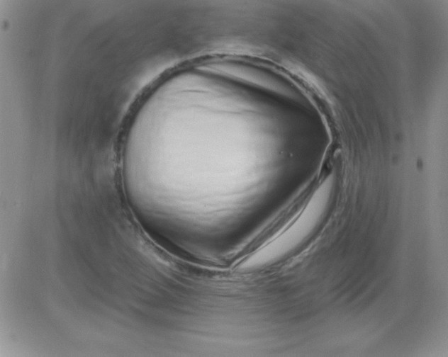 X0000081341264200701251850