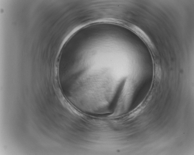 X0000081341292200701251849