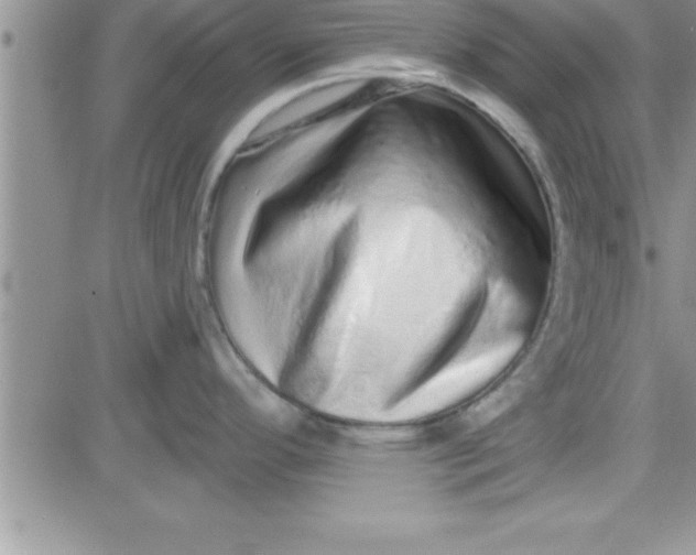 X0000081341296200701251849
