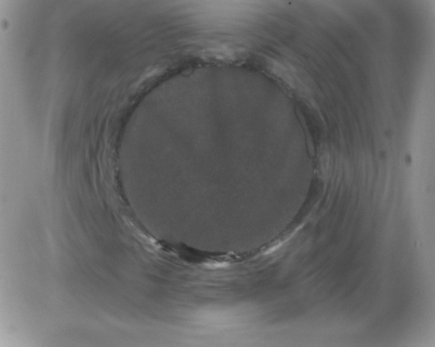 X0000081341297200701251848