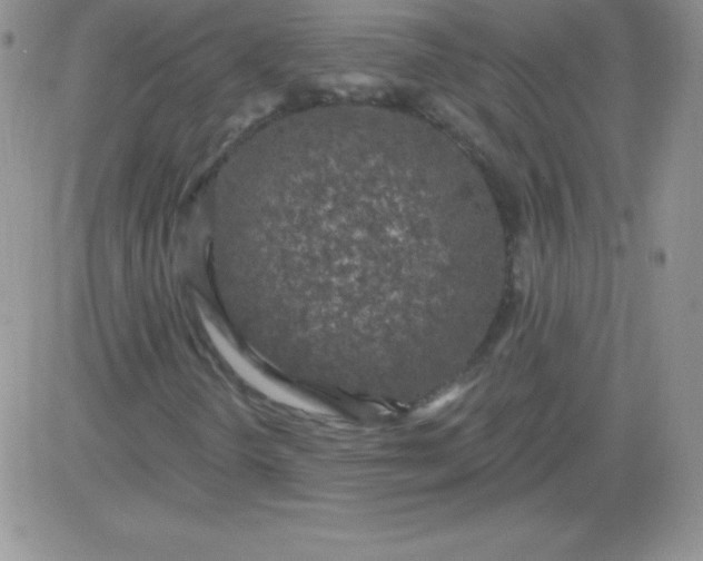 X0000081341298200701251848