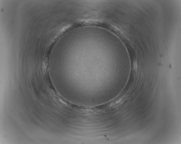 X0000081341300200701251849