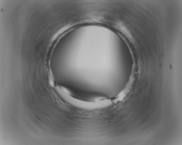 X0000081341308200701251849