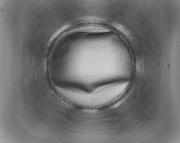 X0000081341309200701251849
