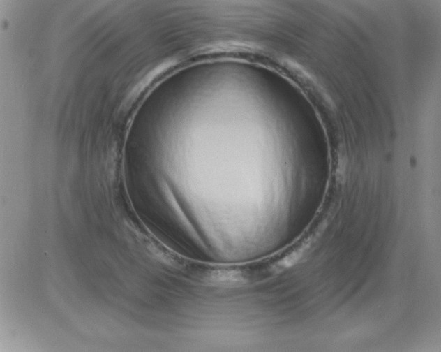 X0000081341313200701251849